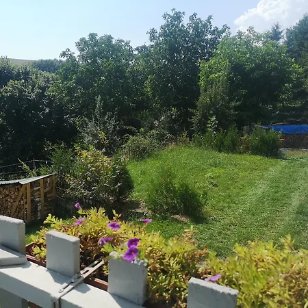 Gutshof Und Proft * Biensdorf