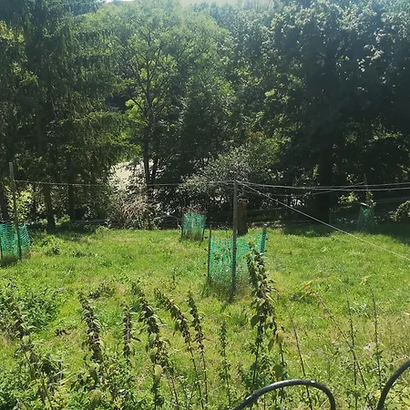 Gutshof Und Proft Apartment