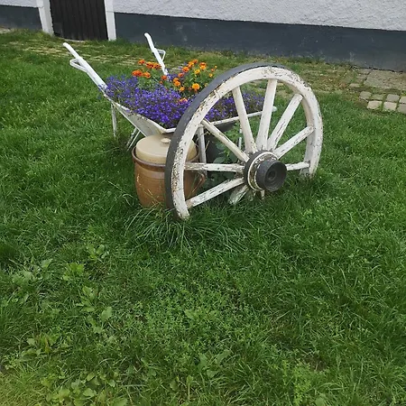 Appartement Gutshof Und Proft