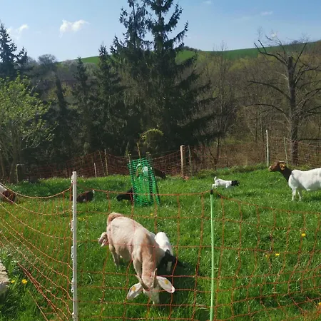 Gutshof Und Proft Appartement *