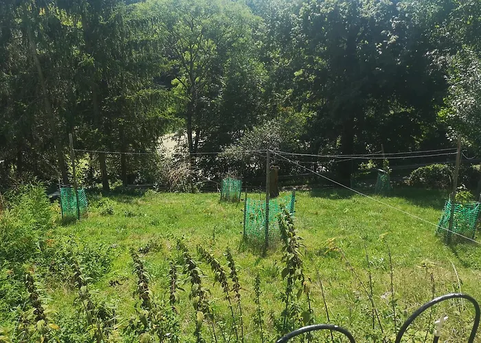 Gutshof Und Proft 公寓