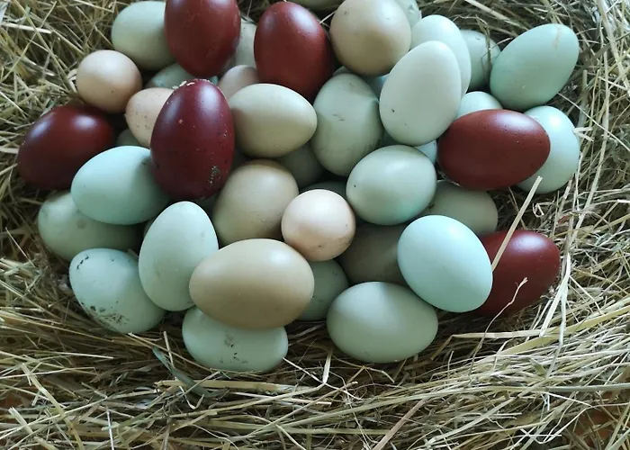 Gutshof Und Proft 公寓