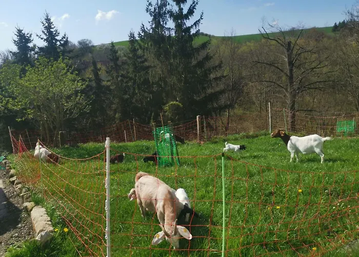 Gutshof Und Proft 公寓 *